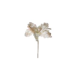 25234_NT9994_ENFEITE