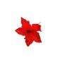 25222_NT9995_FLOR
