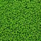 Pedraria_6-0_044-Verde_Folha_Opaco