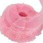 Rosa-bb-