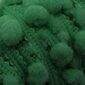 Passamanaria Britannia Pompom (Grelot) 9038 - 16mm - c/10m