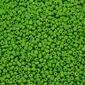 Pedraria_6-0_044-Verde_Folha_Opaco